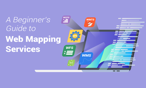 Web 地图服务 (WMS) 简介