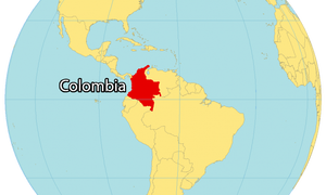 哥伦比亚