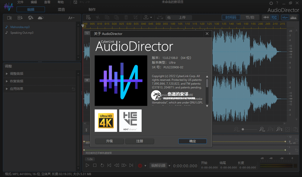 AudioDirector_13